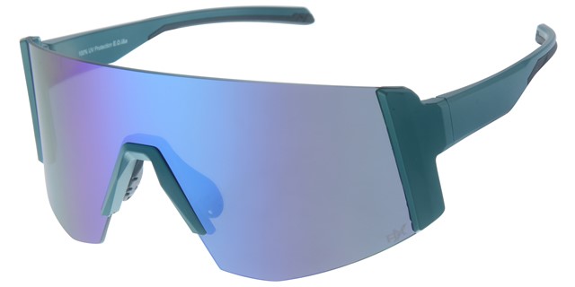 Solbriller POLRX7053