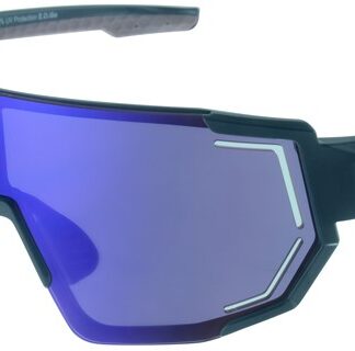 Solbriller POLRX7054